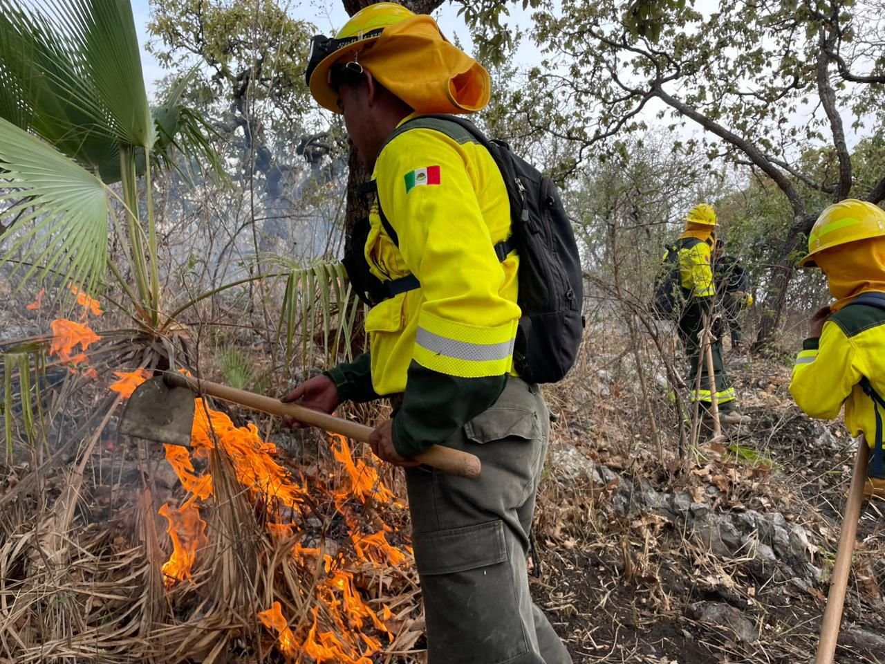 Coordinación interinstitucional controla incendio forestal en Cohetzala sin afectaciones a la población