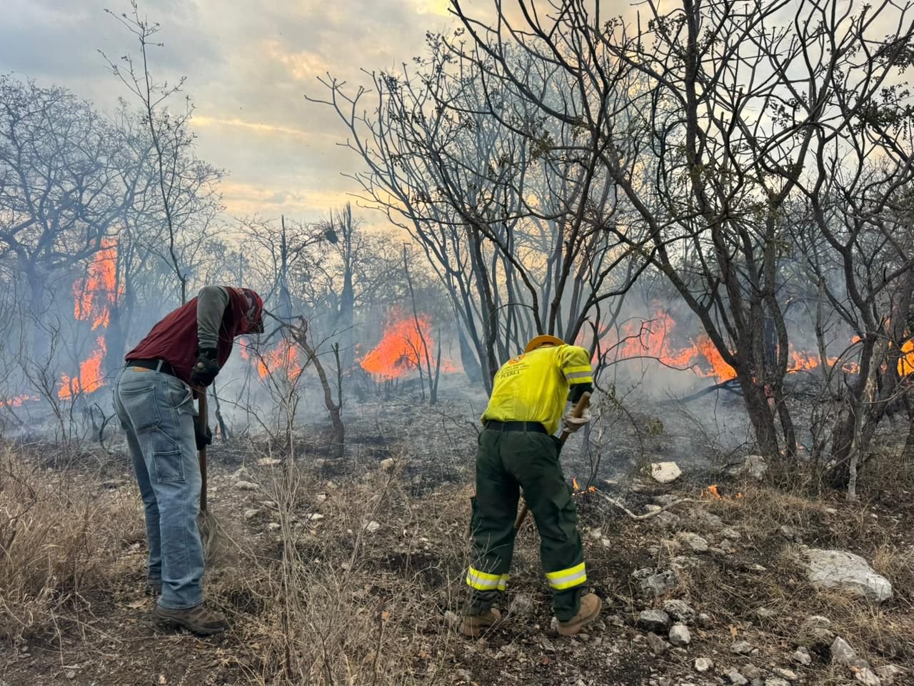 Avanza control de incendio forestal en la Mixteca poblana